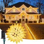 C9 Christmas Lights Outdoor, 72 FT 