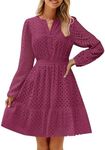 ZESICA Women's Long Sleeve Mini Dress Spring V Neck Hollow Out Eyelet Embroidery Ruffle A Line Swing Short Dresses,Fuchsia,Large