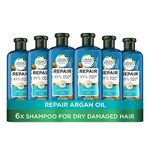 Herbal Essences Bio Renew Argan Oil of Morocco Shampoo, 400 ml, Pack of 6