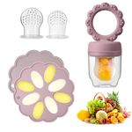 Baby Fruit Food Feeder Pacifier, Silicone Breastmilk Babies Food Freezer Tray, Baby Food Storage Containers Feeder for Safe Infant Self Feeding (Sunflower Dark Grey)