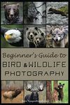 Beginner's Guide to Bird and Wildli