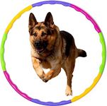 Hula Hoop For Dog Training