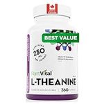 PlantVital L-Theanine Capsules, HIGH POTENCY - L Theanine supplement promotes relaxation and mental calmness - L-Theanine 250mg is Non-GMO - 360 Capsule and Made in Canada.