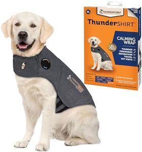 ThunderShi