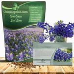 Outsidepride Texas Bluebonnet Seeds - 1/4 lb. Annual Lupinus Texensis, Heirloom Quality, Drought-Tolerant Wildflower Seeds w/Blue Blooms for Vibrant Spring Displays, Landscape, & Attracts Pollinators