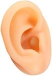 Human Ear Model Simulation Artifici