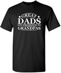 Promoted to Grandpas Humor Sarcasm Funny T Shirt XL Black