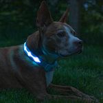 Blazin Brightest Light Up Dog Collars - The Original LED Dog Collar with 1,000 Feet of Visibility - USB Rechargeable Waterproof Dog Collar Light - Dog Lights for Night Walking - USA Brand