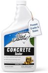 Concrete Sealer Clear Penetrating W