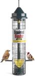 Squirrel Proof Bird Feeder - Squirr