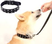 PawLites Spiked Dog Collar Adjustable PU Leather Tactical Metal Buckle for 52 cm to 45 Cm Neck Girth Spiked Thorn for Medium and Large Dogs Like Golden Retriever Labrador German Shepard Doberman