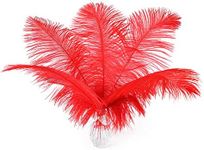 24pcs Natural Bright Red Ostrich Fe