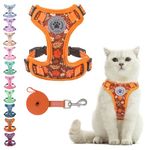 BEAUTYZOO Cat Harness and Leash Set for Walking Escape Proof, Neck Release Adjustable Harness for Kitten Puppy Small Medium Large Cats, Soft Cute Easy Control Small Cat Harness for Cats Boy and Girls