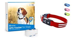 Tractive GPS Dog Tracker + LED Collar. Live Location With Unlimited Range (Red, M)