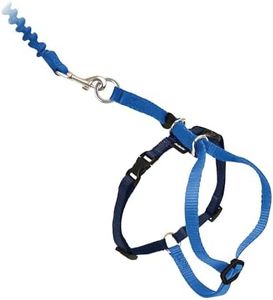 PetSafe Co