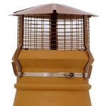 Brewer Birdguard Chimney Cowl - Gas