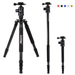 ZOMEI Z818C Professional Portable Carbon Fiber Digital Camera and Camcorder Tripod Monopod Stand with Ball Head for All Canon Sony Nikon Samsung Panasonic Olympus Kodak Fuji Gold