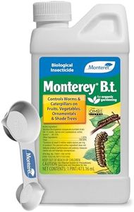 Monterey B