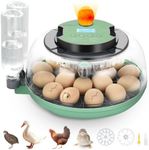 18 Egg Incubator with Automatic Egg Turning and Humidity Control - Egg Incubator for Hatching Eggs Chicken Duck Goose Quail Turkey Parrot, Fit for Farm, Lab, Science Classroom, Home（Green）