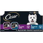 CESAR GOURMET FILETS Variety Pack Filet Mignon & New York Strip Flavor Dog Food (Pack of 12)