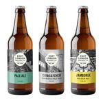 East London Brewing Company Mixed Light Ales - Jamboree Golden Ale (4.8%), ELB Pale Ale (4.0%) & Cowcatcher APA (4.8%) - Vegan-Friendly - 3 x 500ml