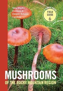 Mushrooms 