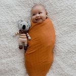 Zoe Sage 1 Pack Baby Swaddle Wrap - Soft Organic Cotton Muslin Swaddle Wrap - Savannah Rust Color, Lightweight, Breathable, Large 120cm x 120cm