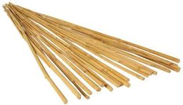 2ft-3ft-4ft-5ft-6ft Bamboo Canes/Stake/Pole Garden Plant Flower Support Sticks Outdoor/Indoor Plants Support Natural Strong (10, 4ft - 120cm (10-12mm))
