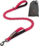 Sweetie Bungee Dog Lead - Shock Absorbing Leash that Softens Pulls & Stops – Neoprene Padded Loop & Traffic Handles for Extra Comfort - Reflective for Safer Night Walking.