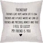 I Feel So Lucky My Friend is You Friendship Present Idea for Women Men Sister Coworker Roommate BFF Home decor Linen Throw Pillow/Cushion Cover.