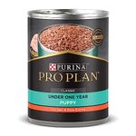 Purina Pro Plan (3810002773) Wet Dog Food, Focus, Puppy Chicken & Rice Entree Classic, 13-Ounce Can, Pack of 12