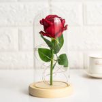 Red Simulation Rose Flower Preserved Plastic Beauty Red Roses Flowers in Glass Dome, Birthday Gifts Women, Artificial Rose with Led Light, Unique Gift, Valentine's Day Gifts