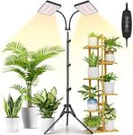 2024 LBW Latest Grow Light for Indo