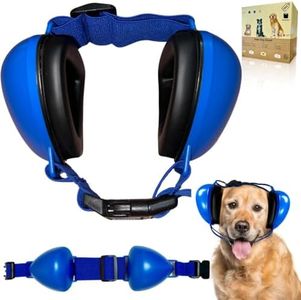 Dog Headph
