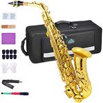 EASTROCK Alto Saxophone for Beginner, E-Flat Gold Lacquer Alto Saxophone, E Key Sax with Hard Case Mouthpiece Pads Neck Strap Reeds Cleaning Cloth Gloves (Gold)