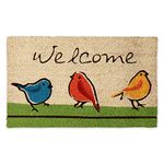 DII Natural Coir Fiber, 18x30 Entry Way Outdoor Door Mat with Non Slip Backing - for The Birds