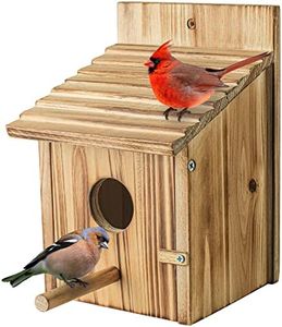 szm Bird House