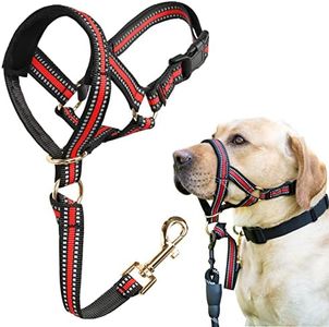 BARKLESS Muzzle Leash for Heavy Pullers, No Pull Stylish Head Halter for Medium Large Aggressive Dogs, Gentle Dog Face Harness Stops Pet Pulling and Choking on Walks, Adjustable Head Collar (M, Red)