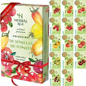 Kit De Sem