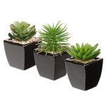 Artificial Plant For Shelf