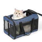 Conlun Cat Carrier Airline Approved, Soft-Sided Dog Carrier with Inner Safety Leash, Pet Transport Carrier for Small-Medium Cats Puppies up to 15 Lbs, Collapsible Travel Kitten Carrier Bag -Blue M