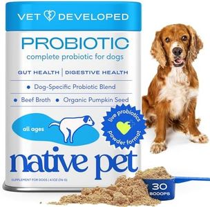 Native Pet Probiotic for Dogs - Vet Created Probiotic Powder for Dogs Digestive Issues - Probiotic Powder + Prebiotic + Bone Broth Powder Pet Food for Dog Stomach Relief - 232 Gram 6 Billion CFU 4.1oz