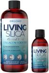 Orgono Living Silica Kit | Mineral-