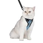 Voyager Step-in Lock Pet Harness - All Weather Mesh, Adjustable Step in Harness for Cats and Dogs by Best Pet Supplies - Baby Blue/Black Trim, XXXS