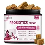 Probiotics for Dogs - Dog Probiotic