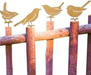 Colorich 4 Pcs Rusty Bird Garden De