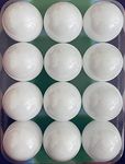 eMKay® Pack of 12 Ping Pong Table Tennis Balls - WHITE