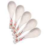 Asian Soup Spoons Set, Japanese Red Plum Ceramic Soup Spoons Set of 5 for Family