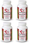 (4 PACK) - Cherry Active - CherryActive Capsules | 60's | 4 PACK BUNDLE