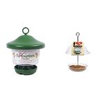 Hanging Lantern Garden Bird Feeder, green & Clear Hanging Bird Feeder - I Love Robins Pearl Feeder with 15cm rain dome - attracts small garden birds. Fill with birdseed or mealworms